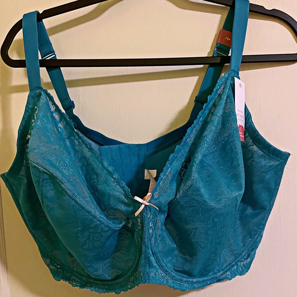 Lane Bryant Cacique Bra (Teal)